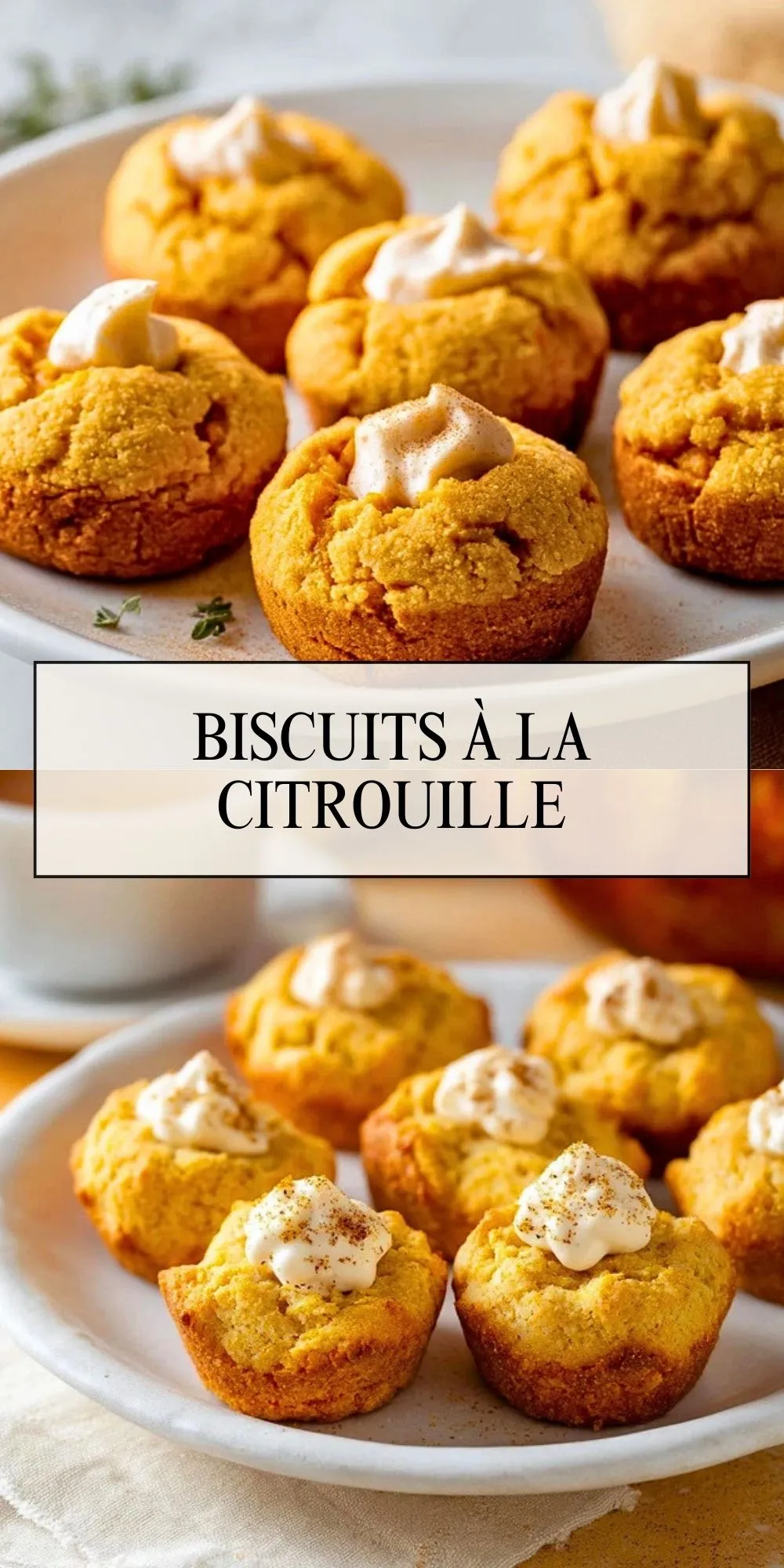 Biscuits à la citrouille (2)