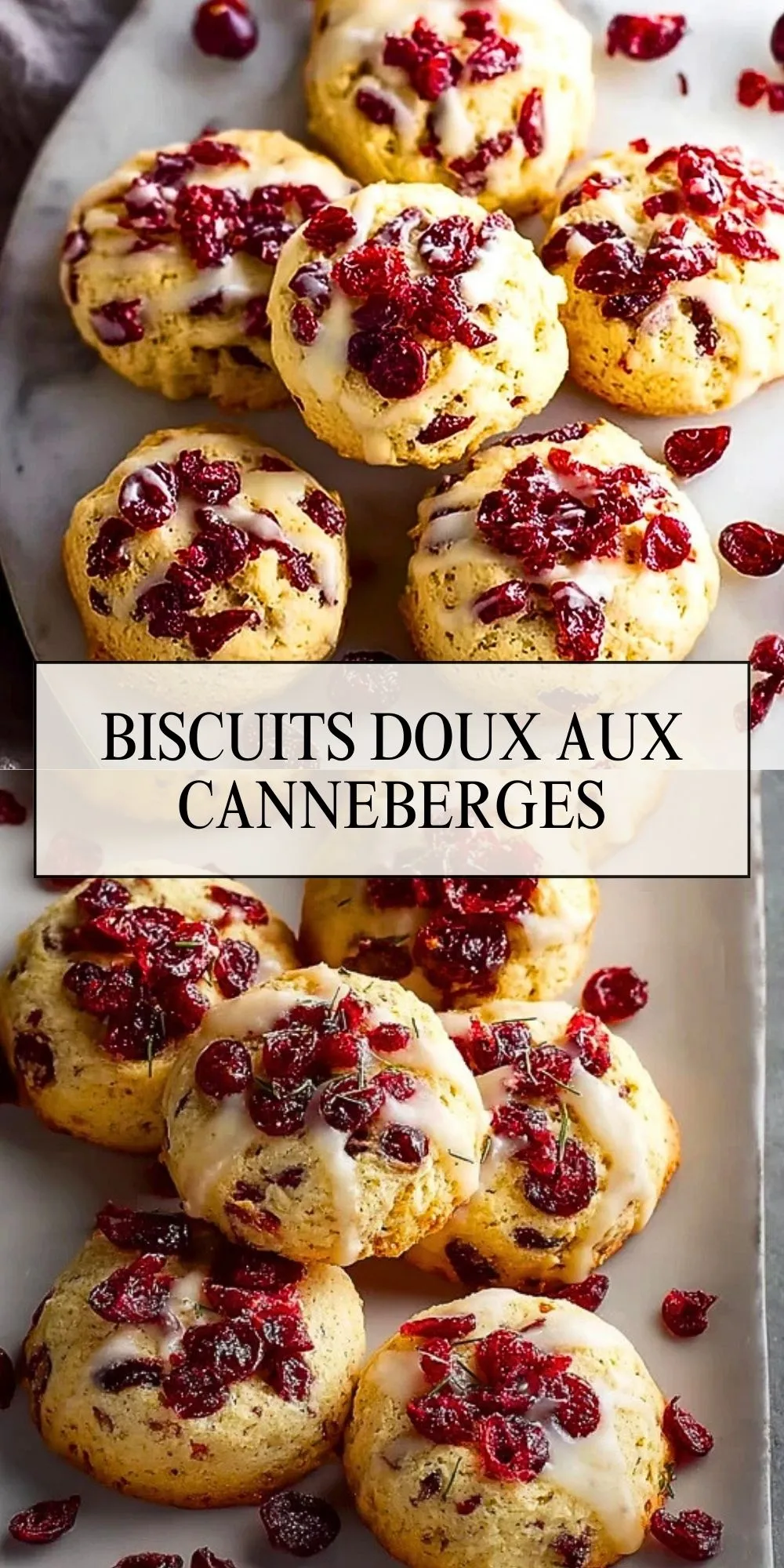 Biscuits Doux aux Canneberges (2)