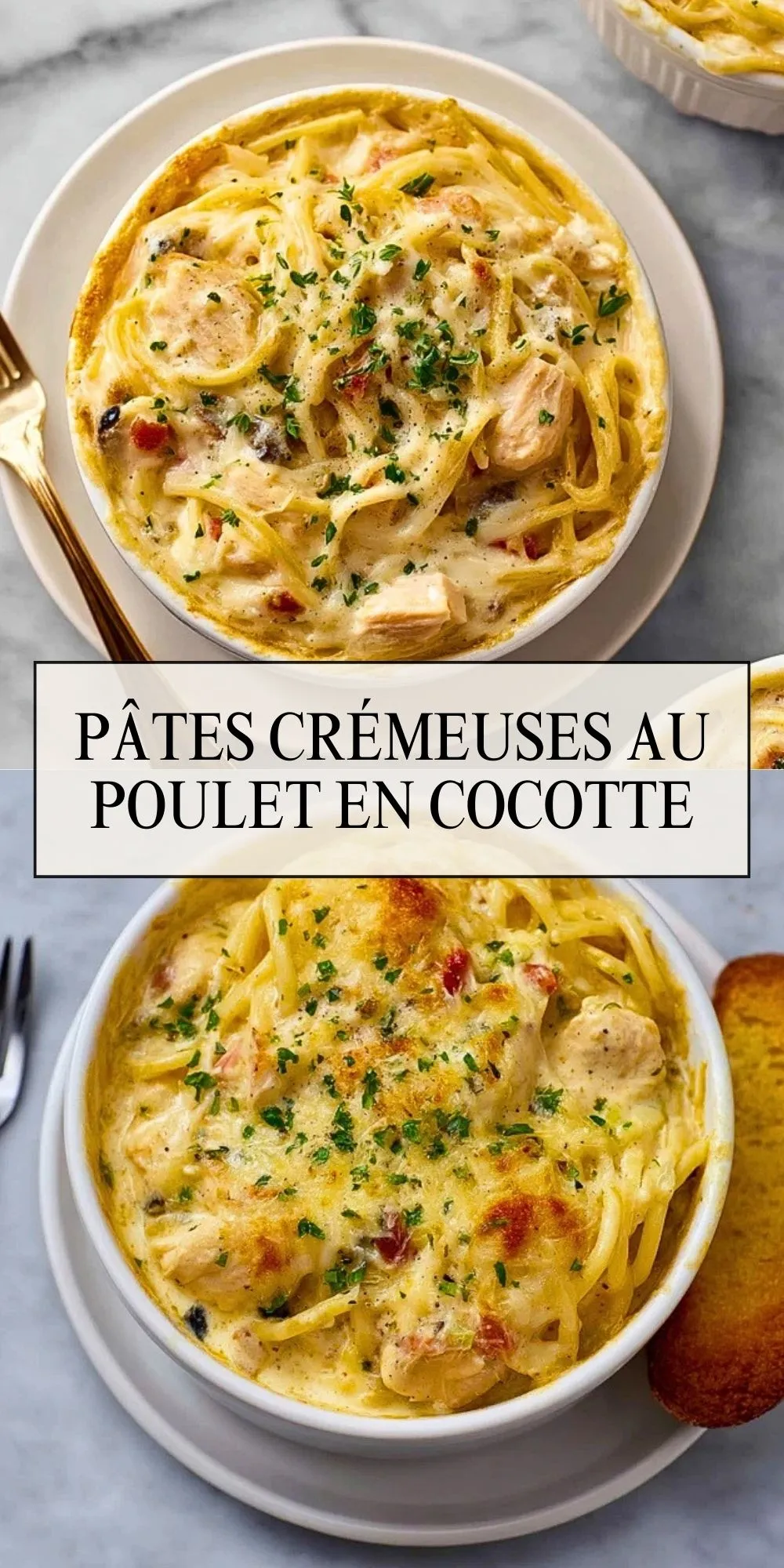Pâtes Crémeuses au Poulet en Cocotte (2)