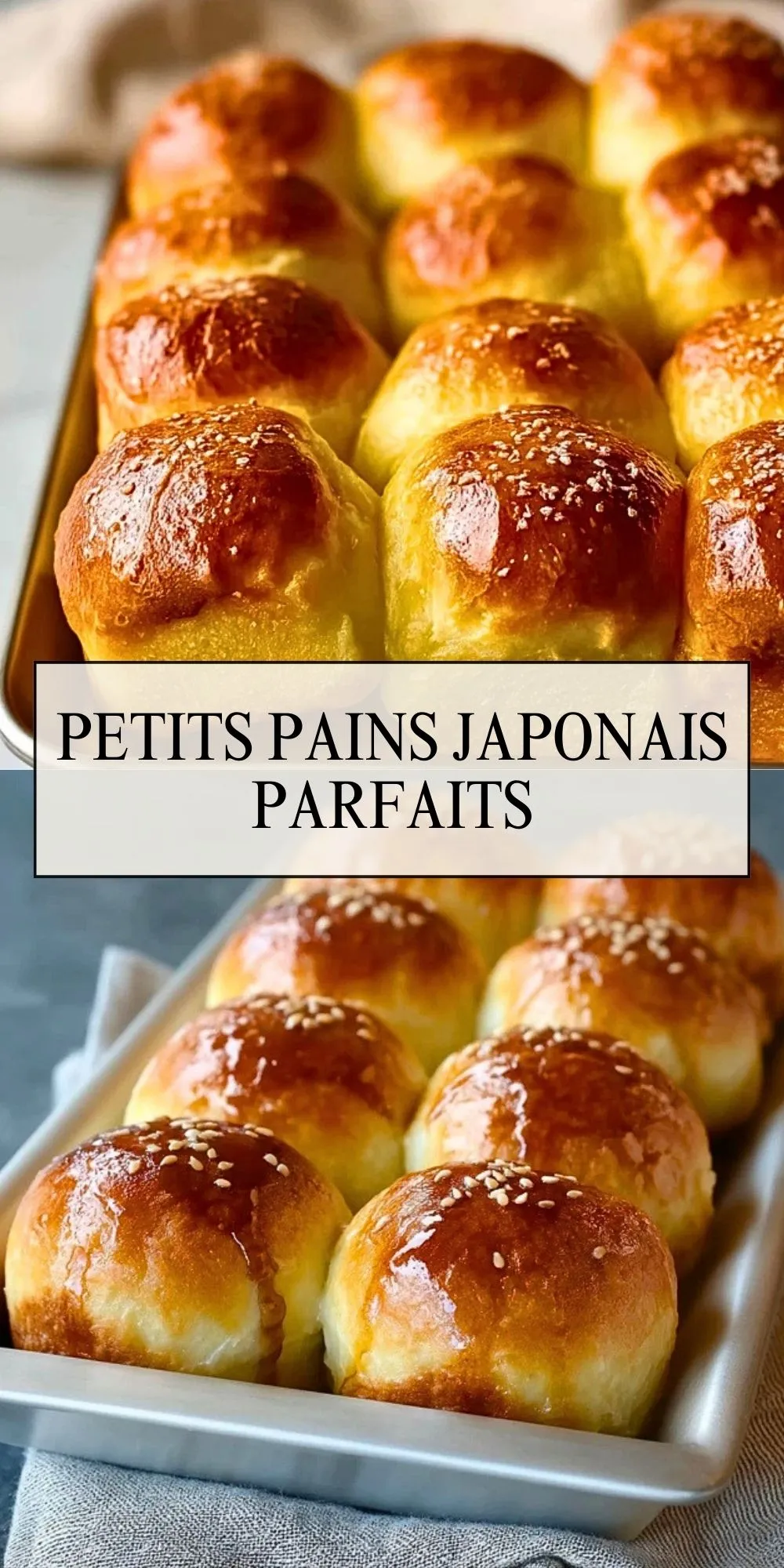 Petits Pains Japonais Parfaits (2)