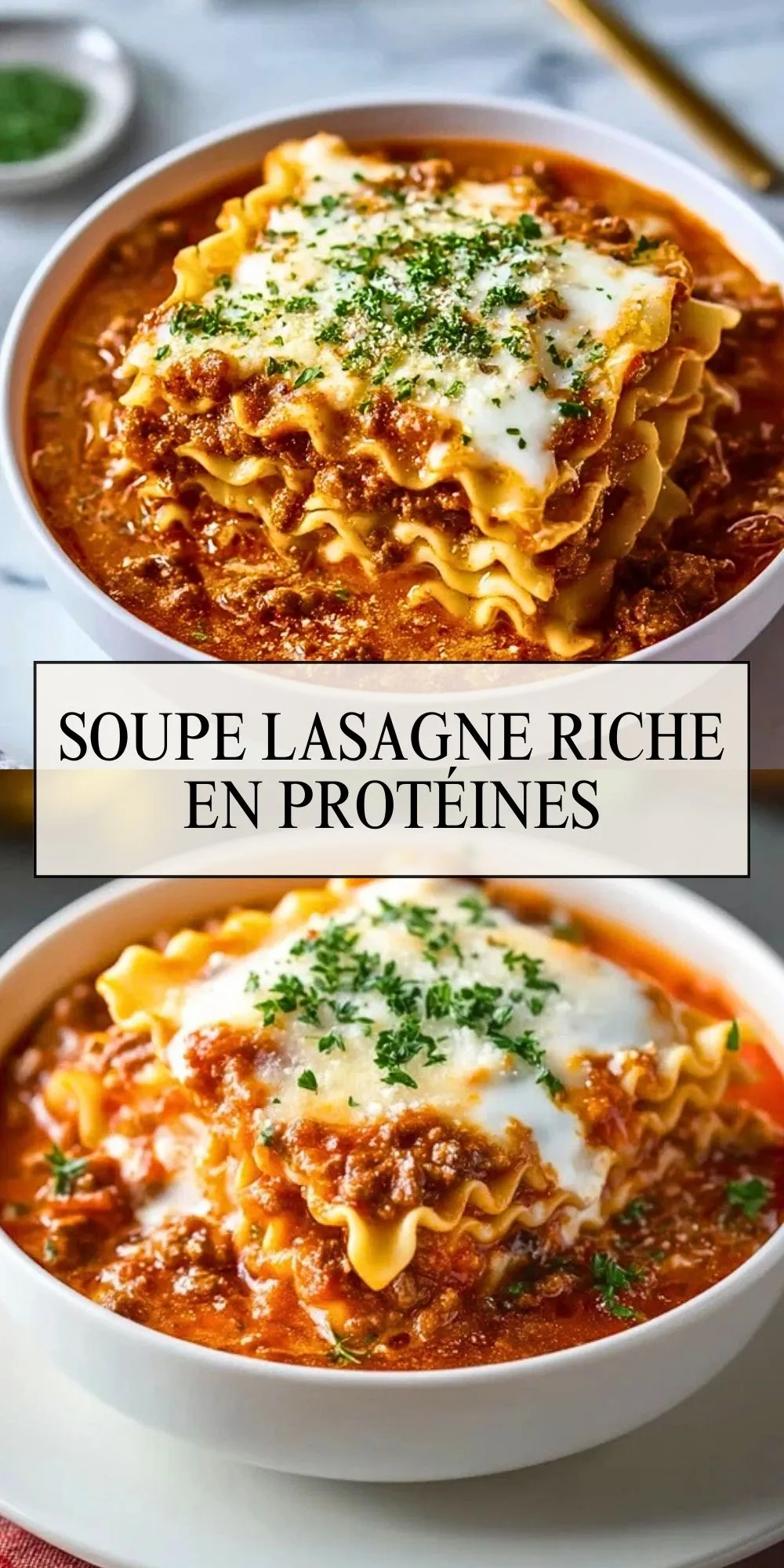 Soupe Lasagne Riche En Protéines (2)