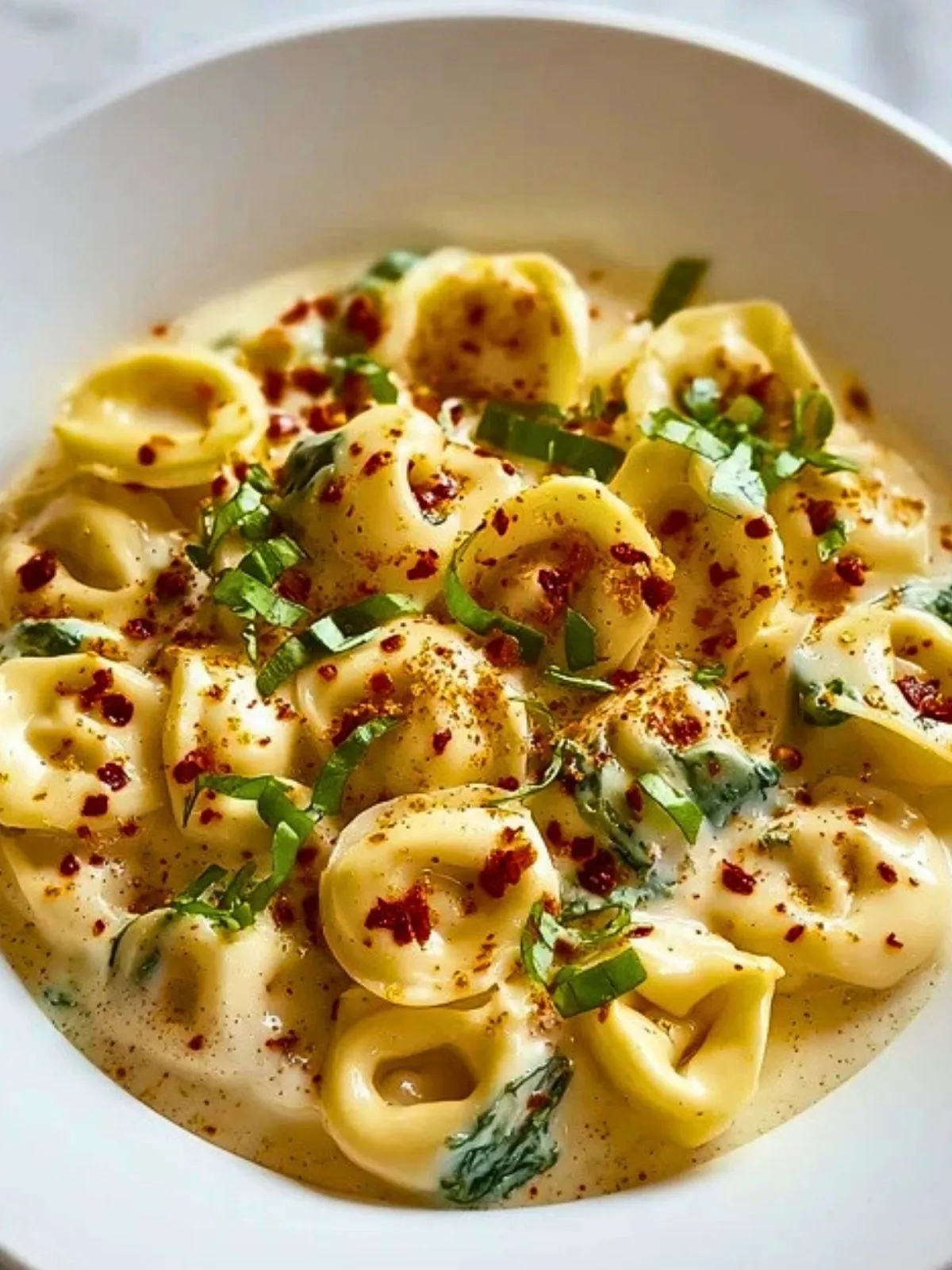 Tortellini Alfredo Crémeux à la Mijoteuse (1)
