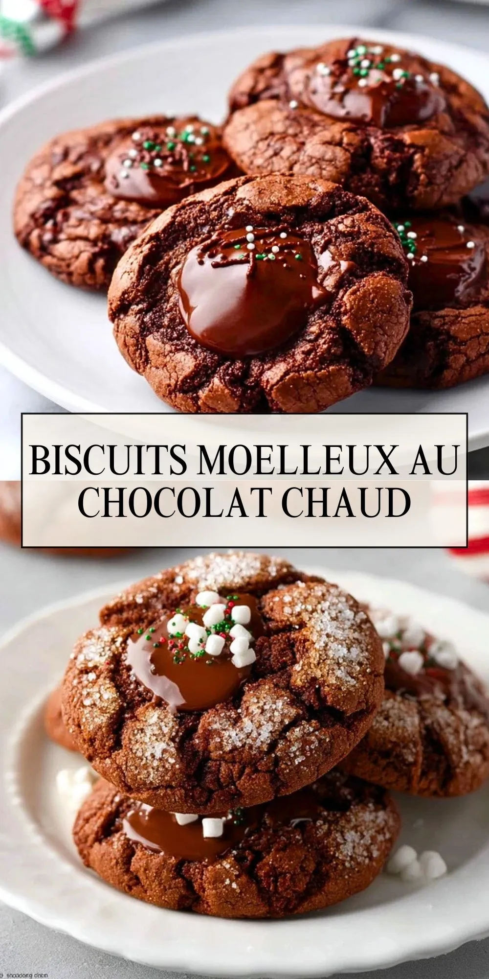 Biscuits Moelleux au Chocolat Chaud (2)