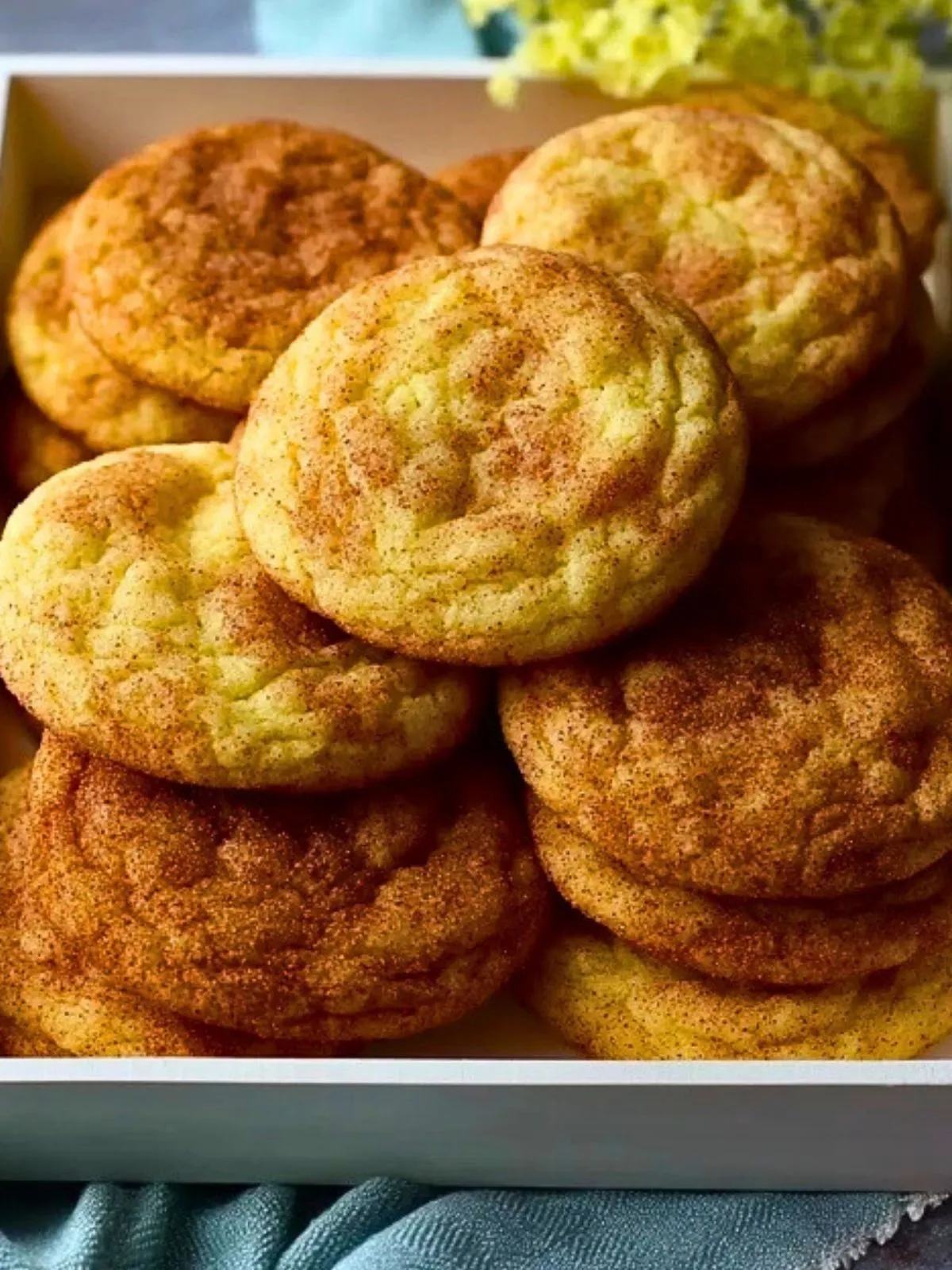 Biscuits Snickerdoodle Faciles (1)