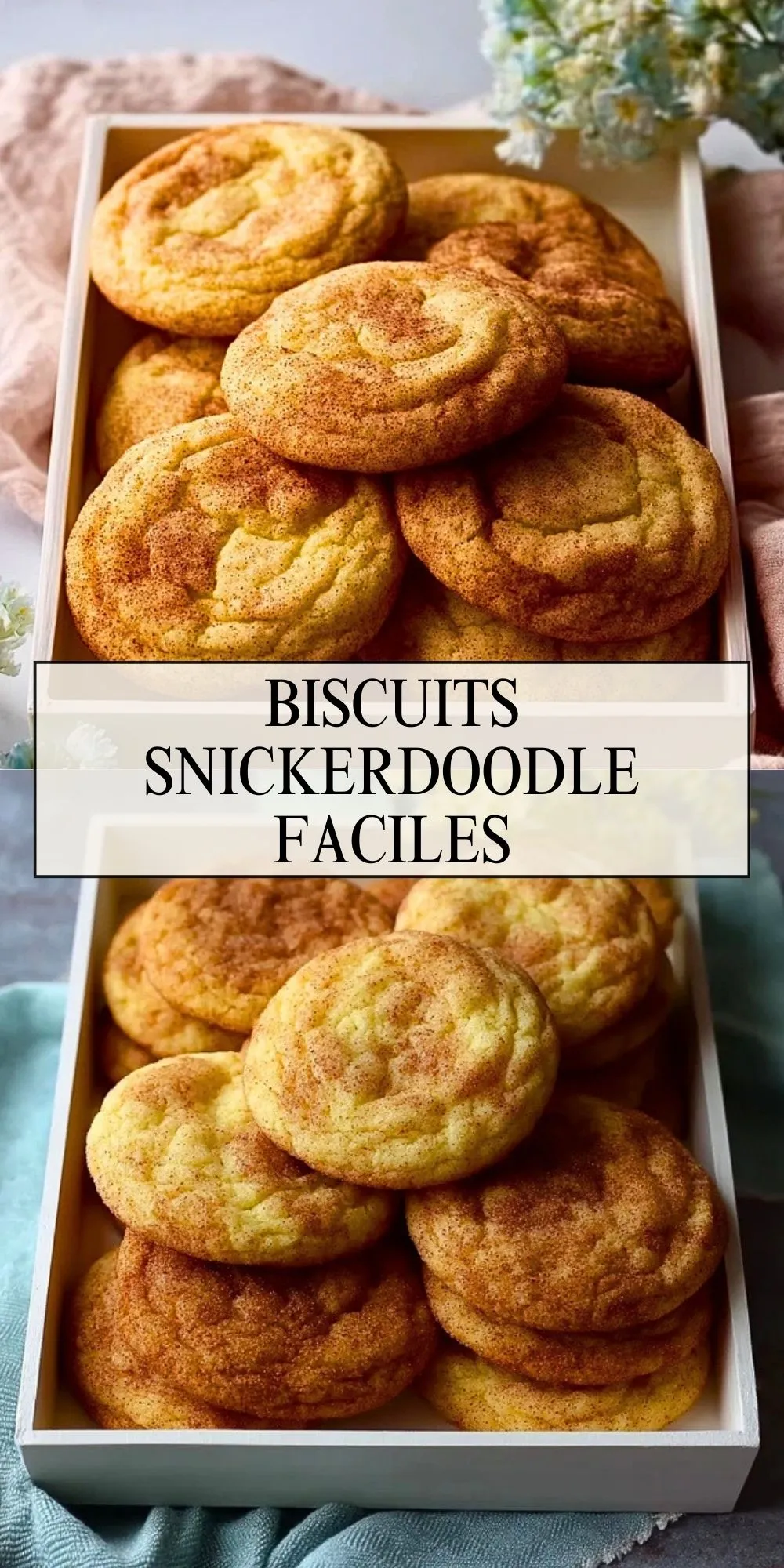 Biscuits Snickerdoodle Faciles (2)