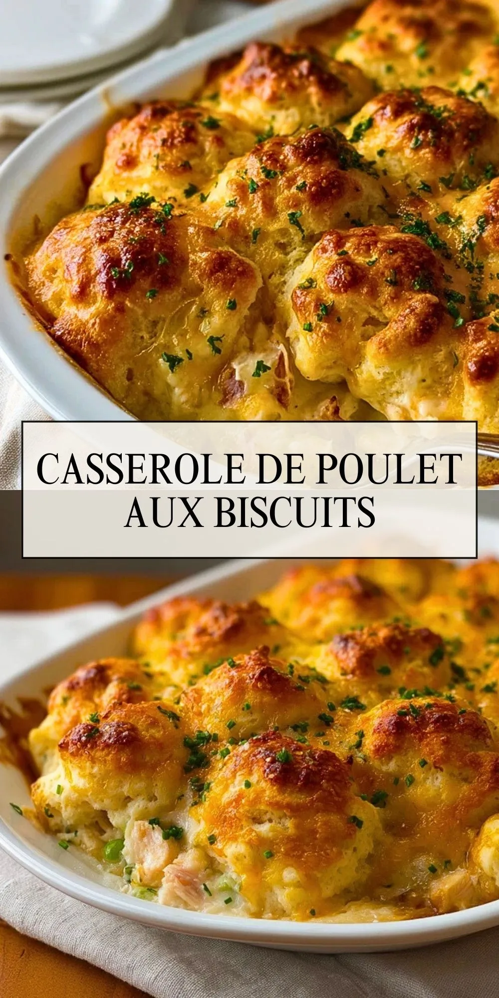Casserole De Poulet Aux Biscuits (2)