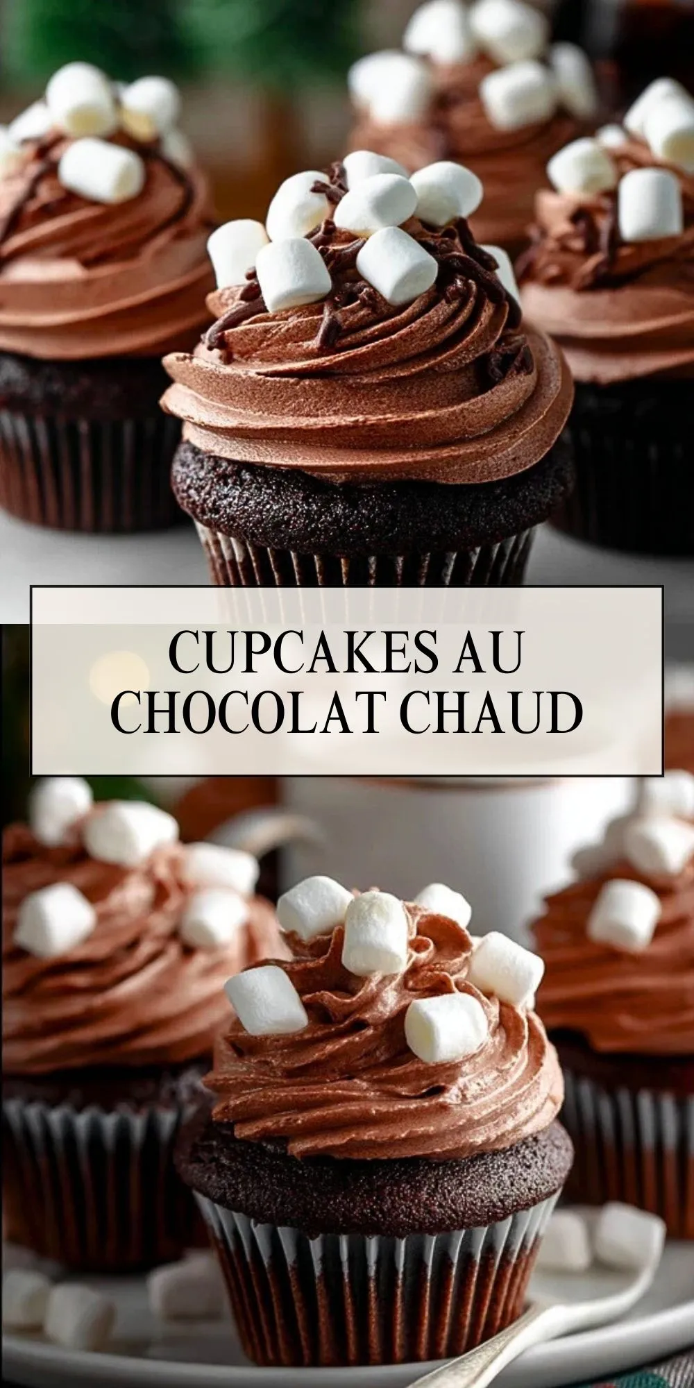 Cupcakes Au Chocolat Chaud (2)