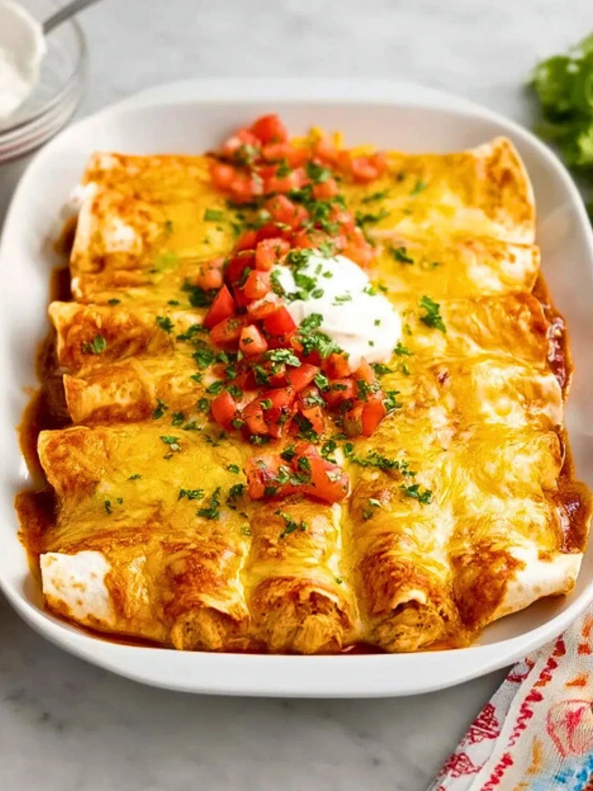 Enchiladas Au Poulet Et Fromage Frais (1)