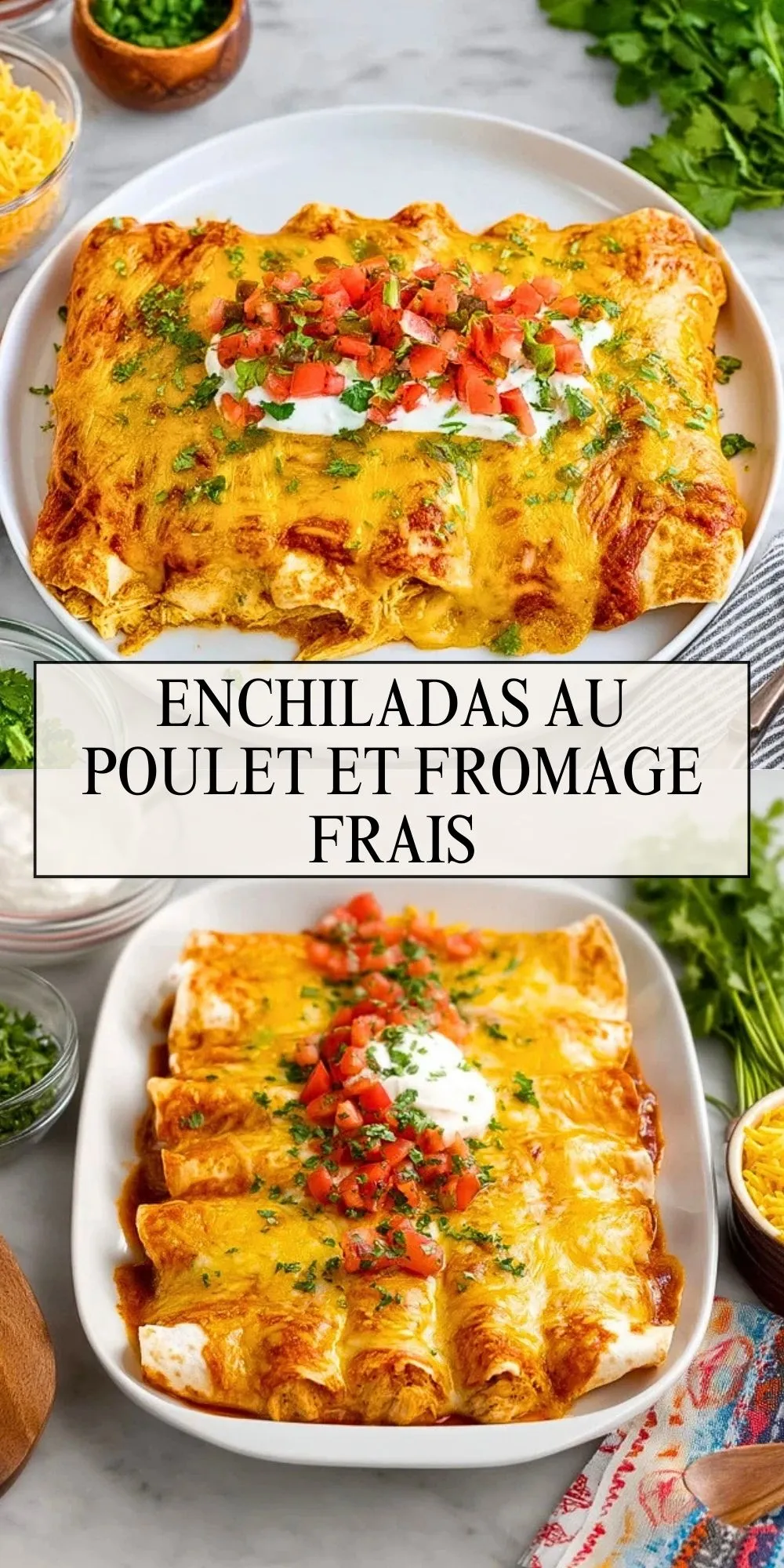 Enchiladas Au Poulet Et Fromage Frais (2)