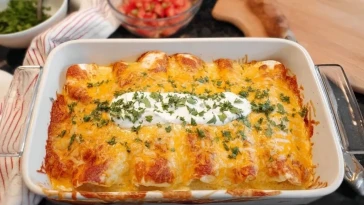 Enchiladas Au Poulet Et Fromage Frais