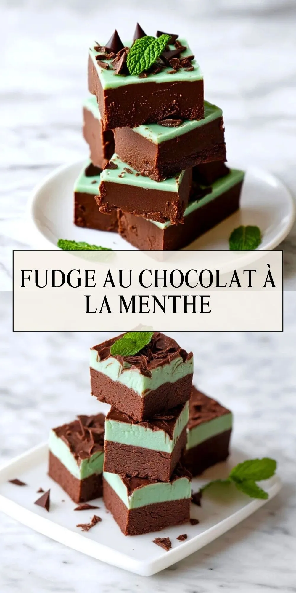 Fudge Au Chocolat À La Menthe (2)