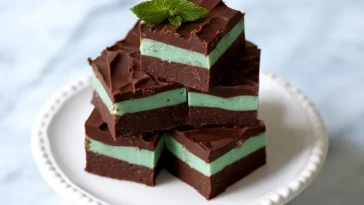 Fudge Au Chocolat À La Menthe