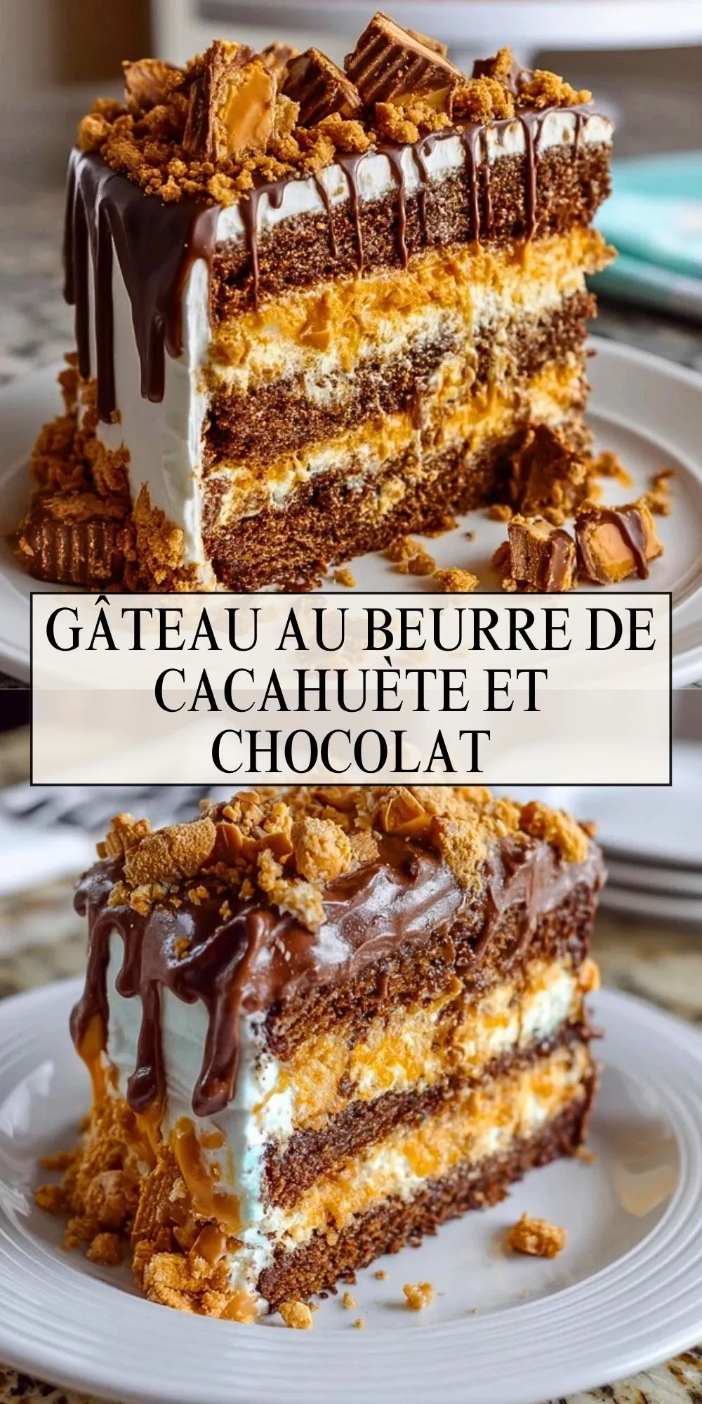 Gâteau au Beurre de Cacahuète et Chocolat (2)