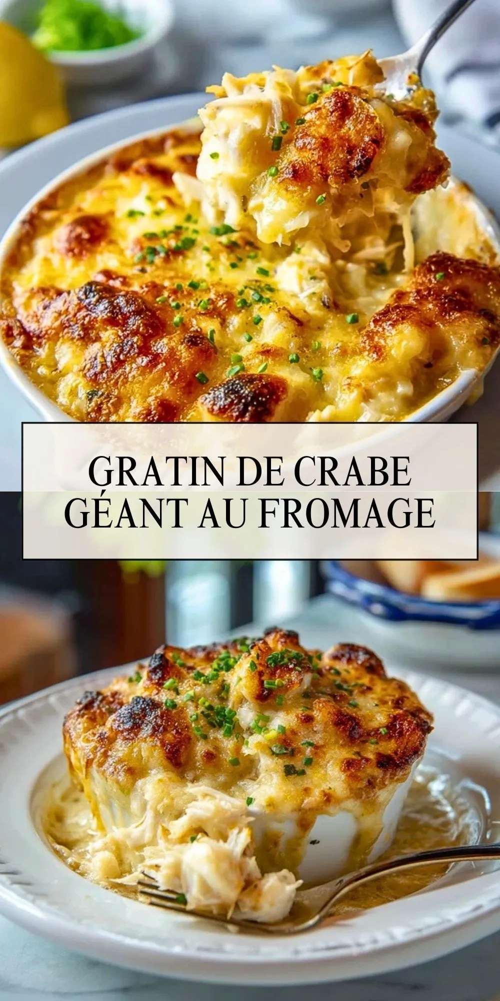 Gratin De Crabe Géant Au Fromage (2)