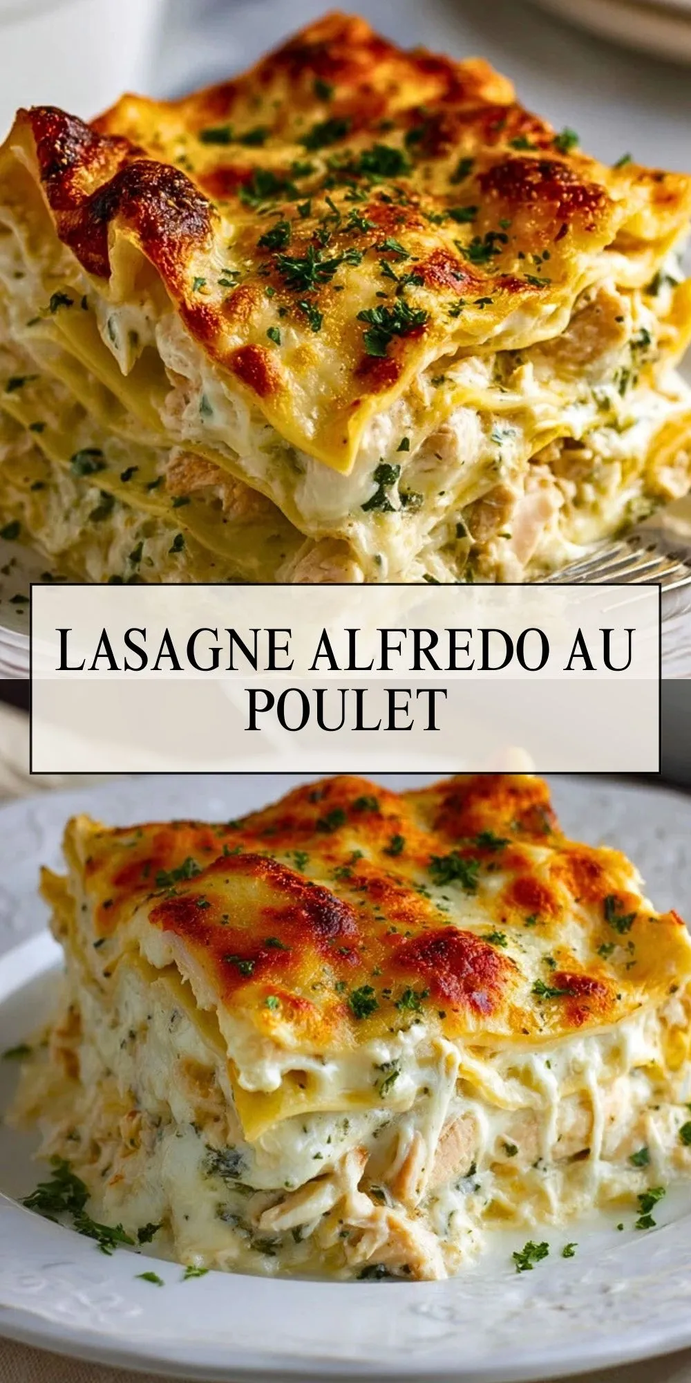 Lasagne Alfredo au Poulet (2)