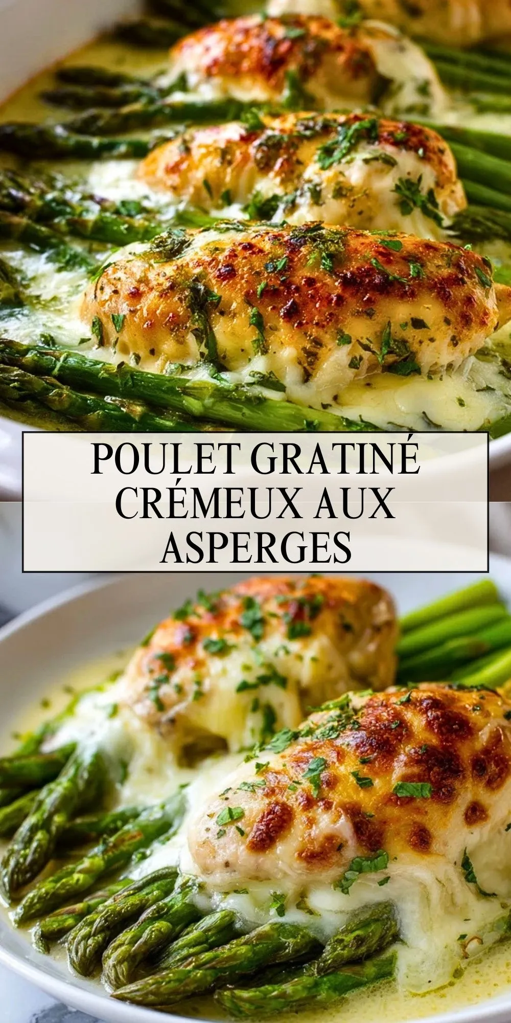 Poulet Gratiné Crémeux aux Asperges (1)