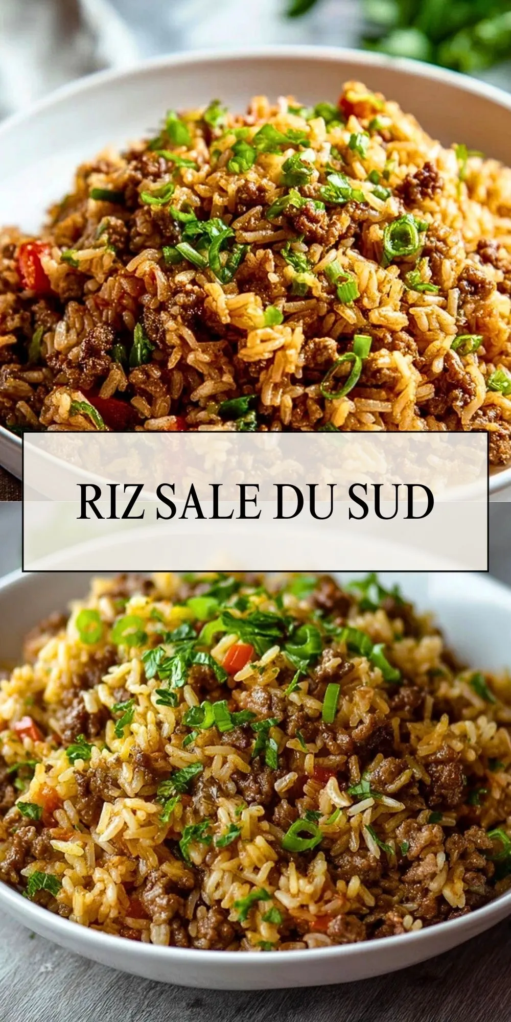 Riz Sale Du Sud (2)