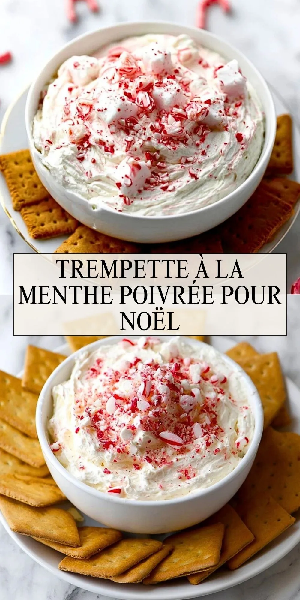 Trempette à la Menthe Poivrée pour Noël (2)