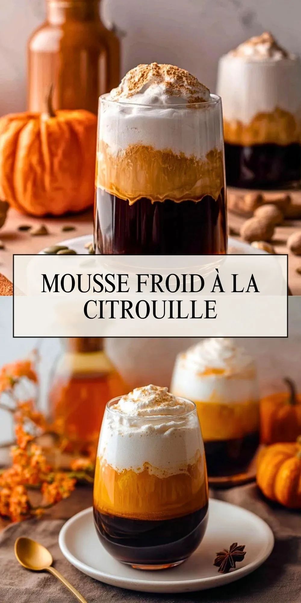 Mousse Froid à la Citrouille (2)