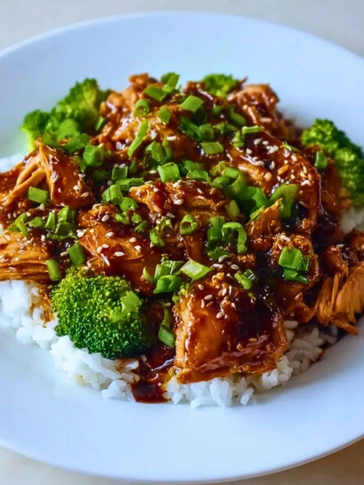 Poulet Teriyaki à la Mijoteuse (4)