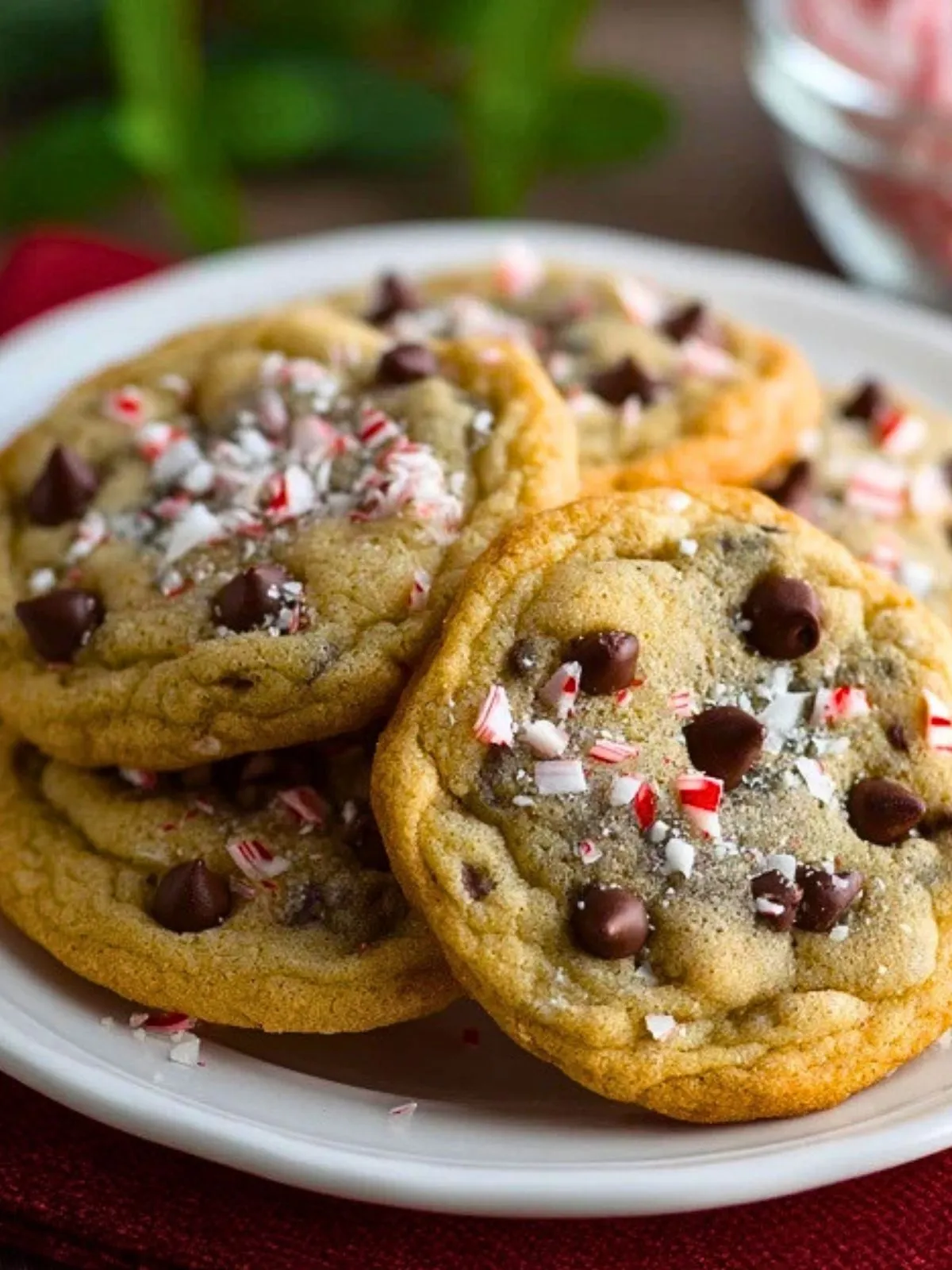 Biscuits Au Chocolat À La Menthe (1)