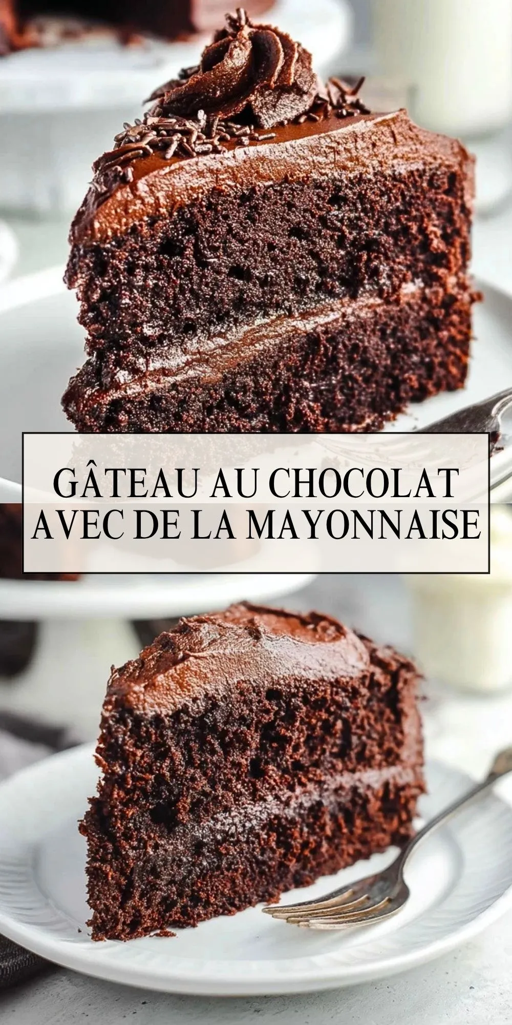 Gâteau Au Chocolat Avec De La Mayonnaise (2)