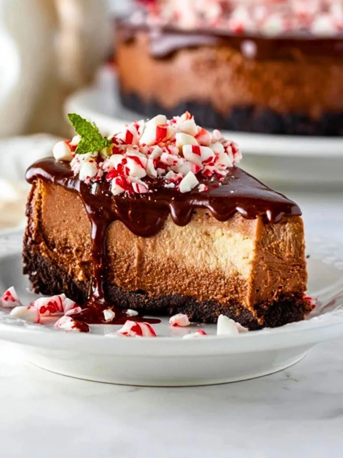 Gâteau Au Chocolat Menthe Poivrée (1)