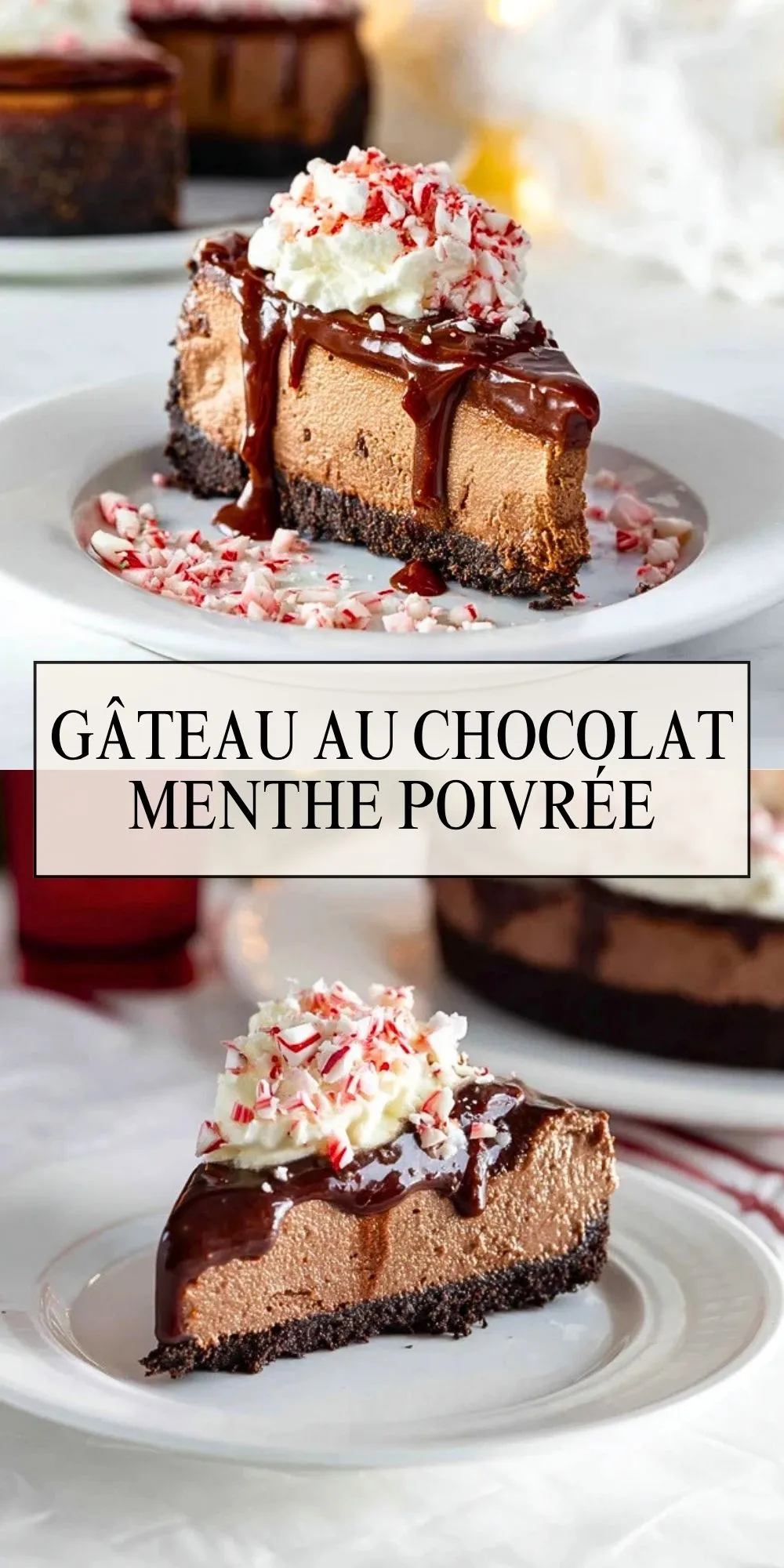 Gâteau Au Chocolat Menthe Poivrée (2)