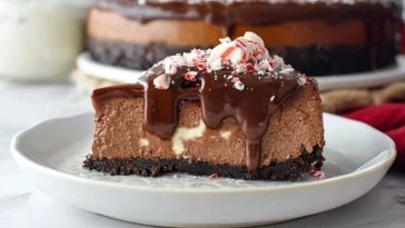 Gâteau Au Chocolat Menthe Poivrée