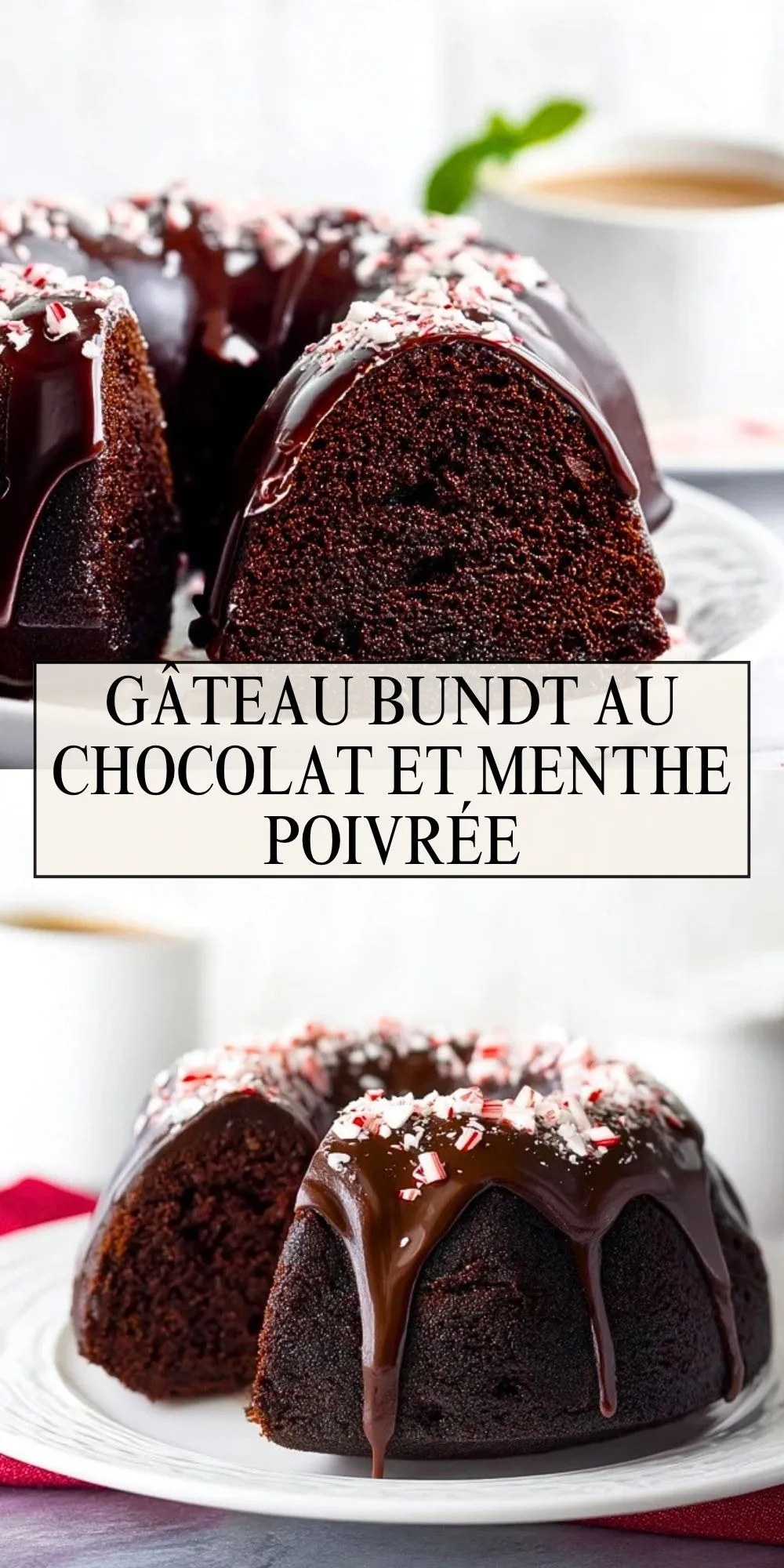 Gâteau Bundt Au Chocolat Et Menthe Poivrée (2)