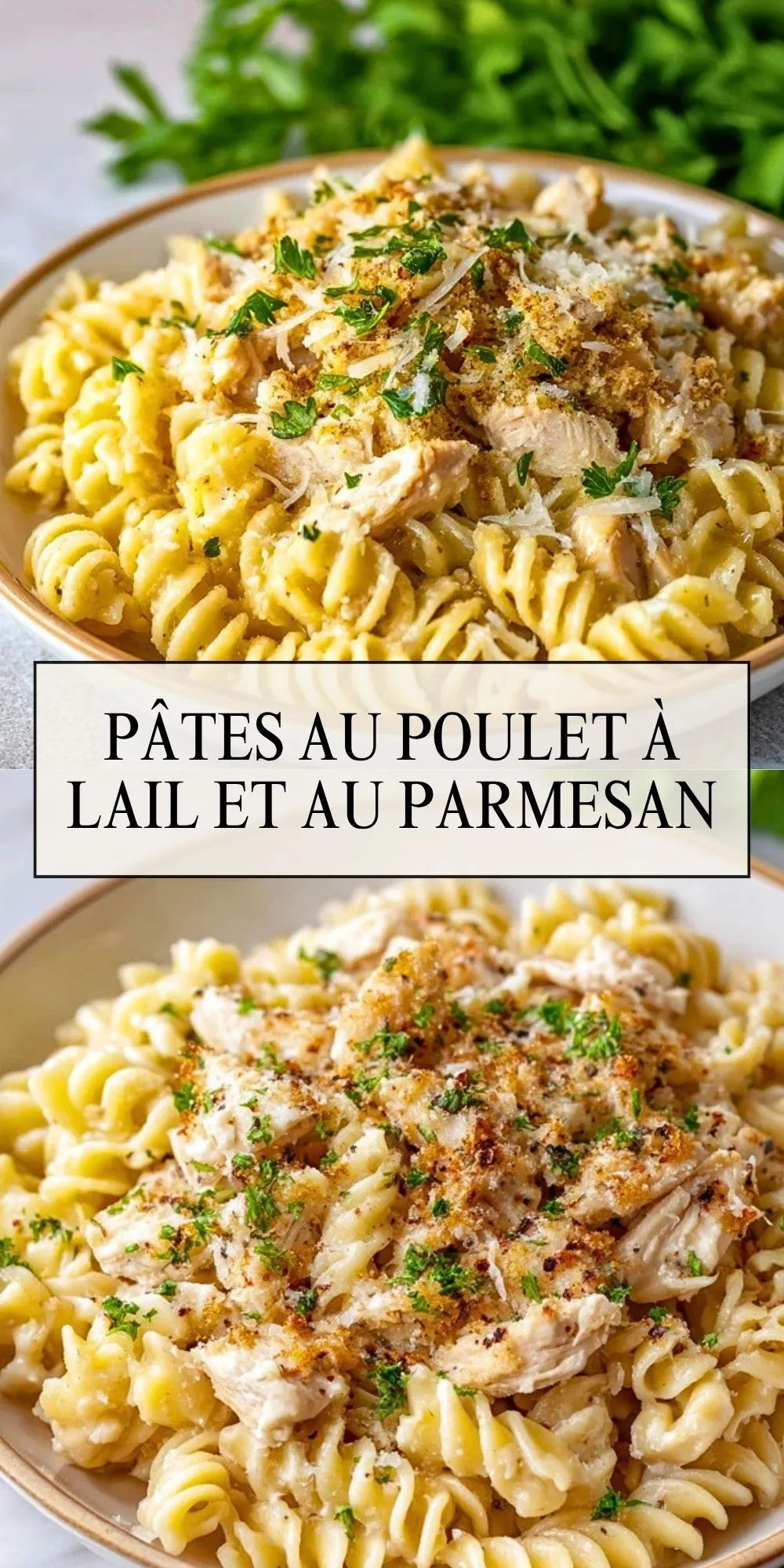 Pâtes au Poulet à lAil et au Parmesan - Pin 1