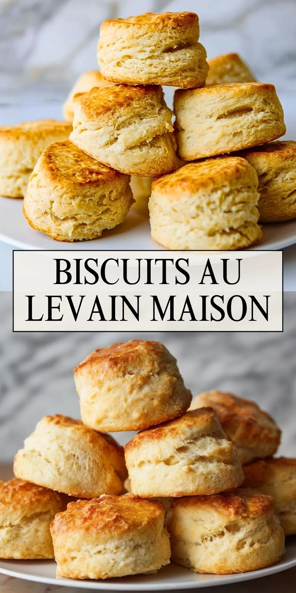 Biscuits Au Levain Maison (2)