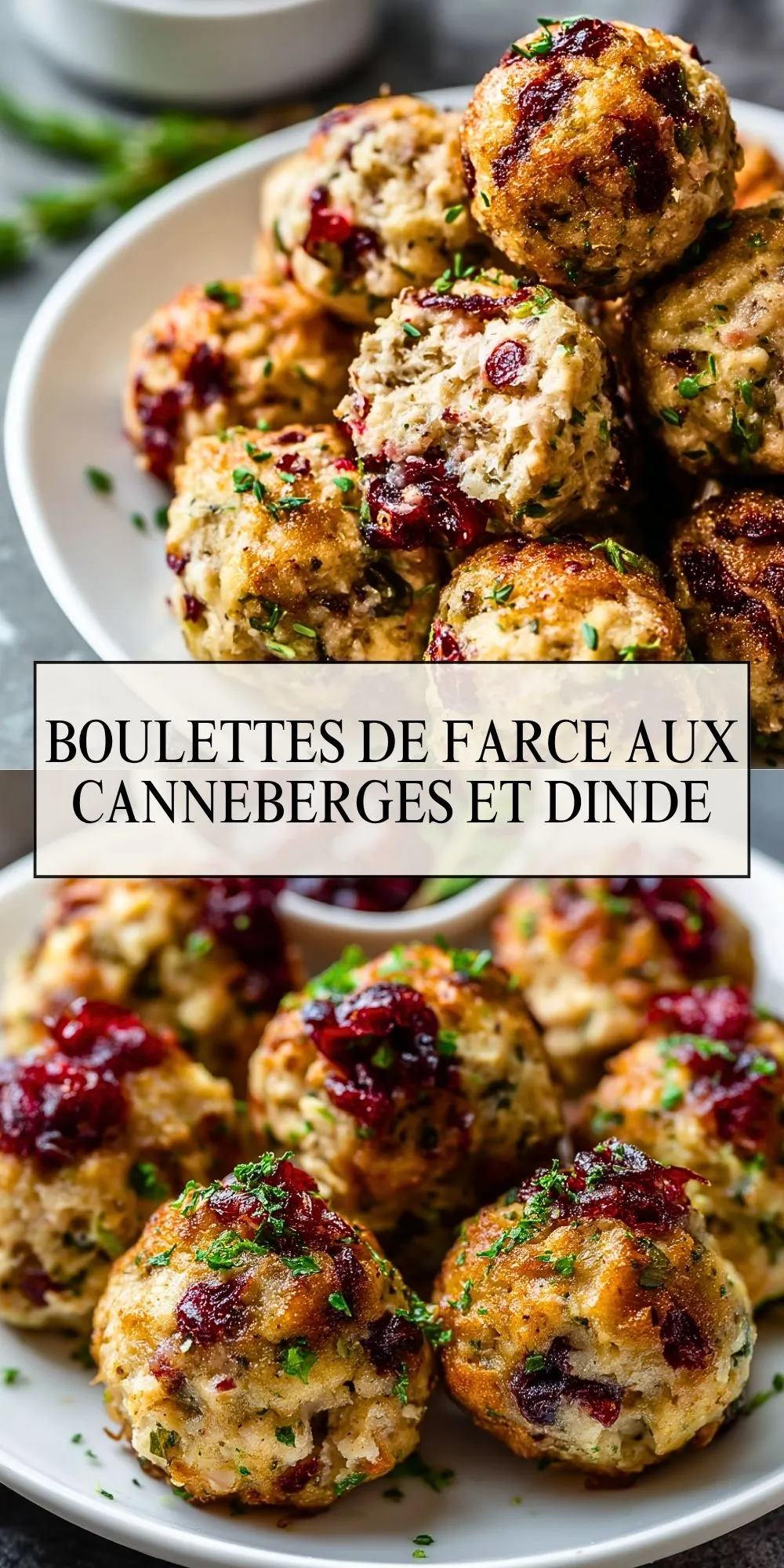 Boulettes De Farce Aux Canneberges Et Dinde (2)