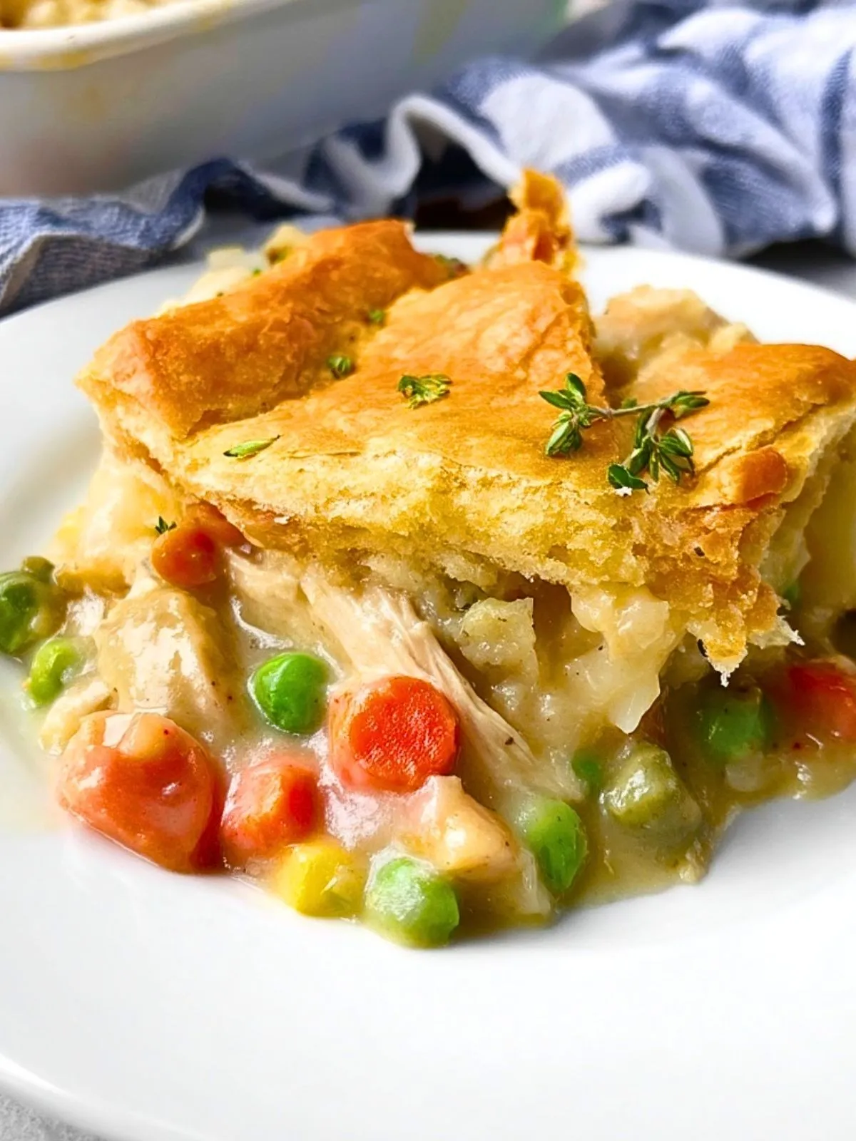 Casserole De Poulet Facile (1)