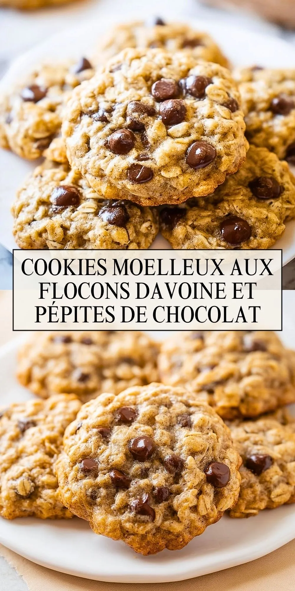 Cookies Moelleux Aux Flocons DAvoine Et Pépites De Chocolat (2)