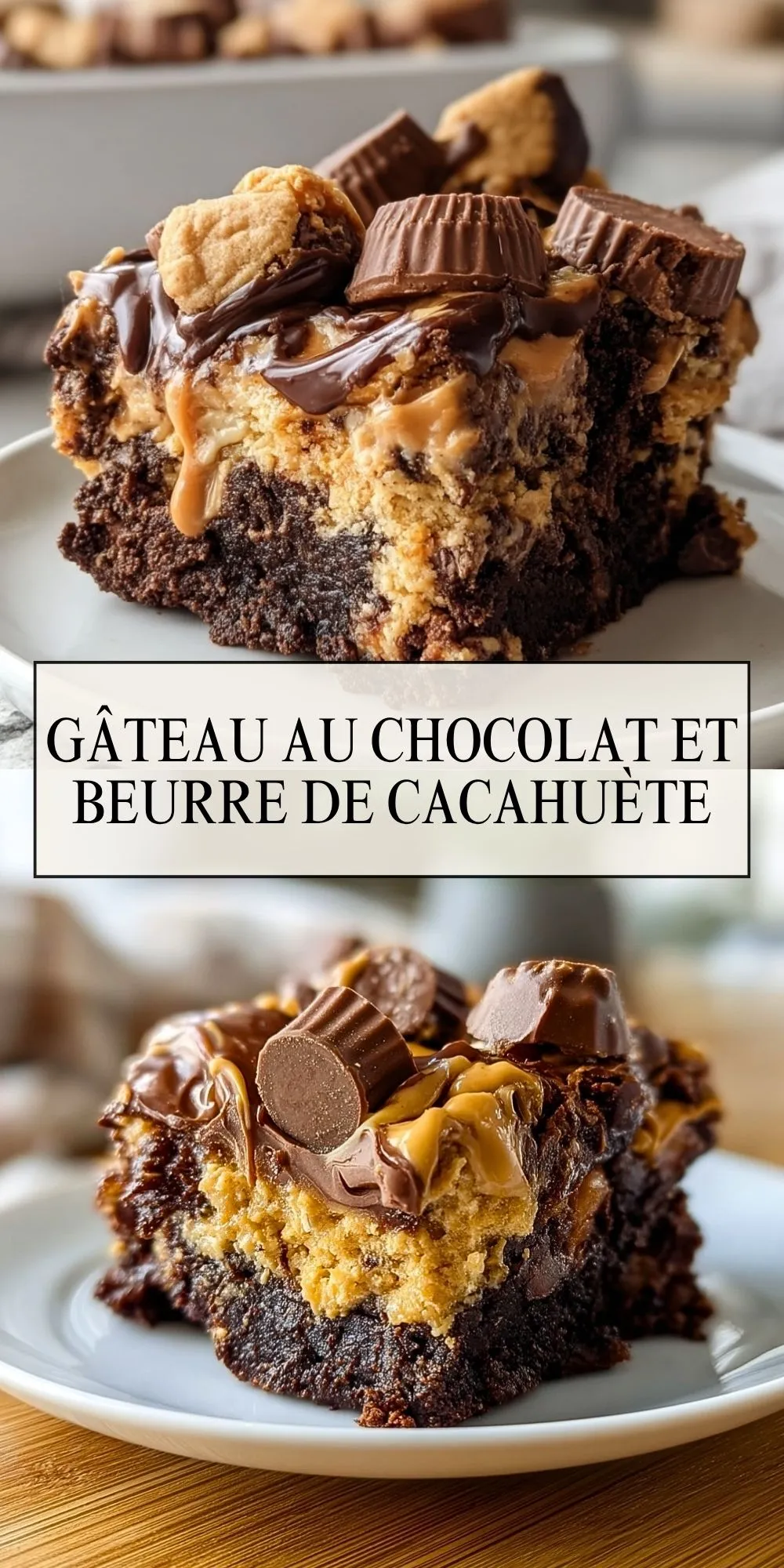 Gâteau Au Chocolat Et Beurre De Cacahuète (2)