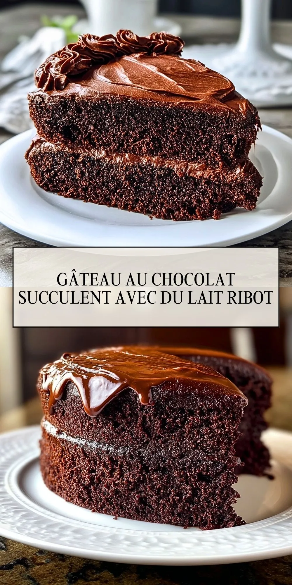 Gâteau Au Chocolat Succulent Avec Du Lait Ribot (2)