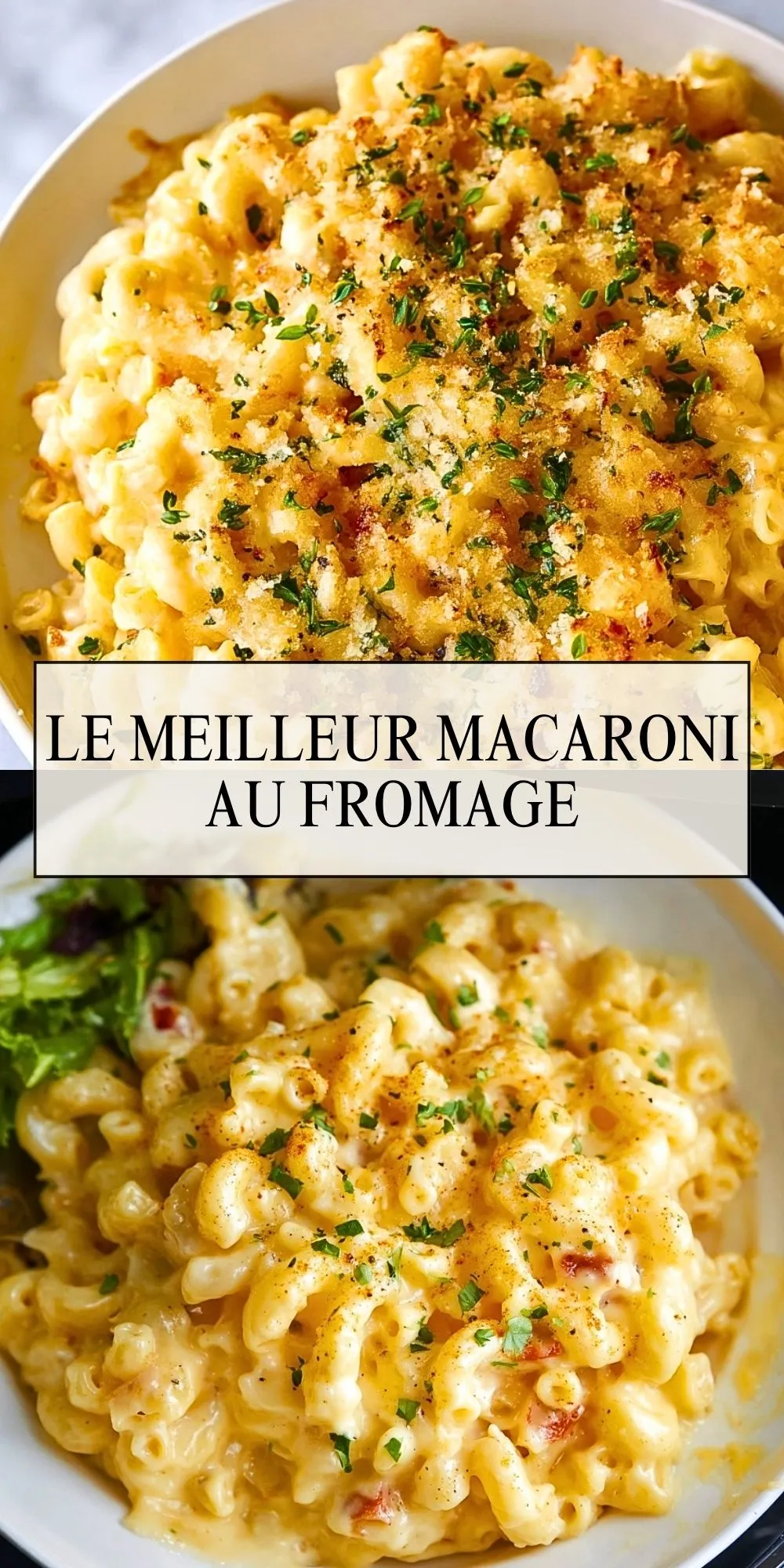 Le Meilleur Macaroni Au Fromage (2)