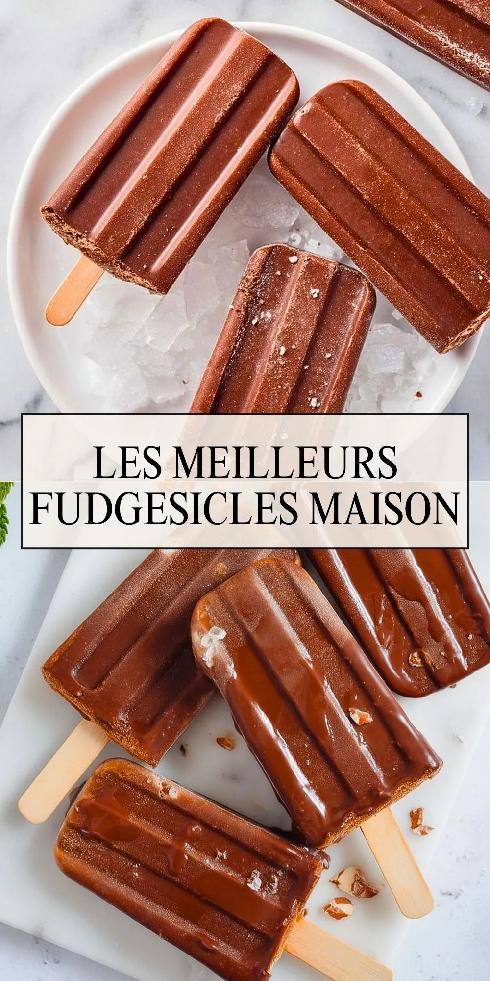 Les Meilleurs Fudgesicles Maison (2)