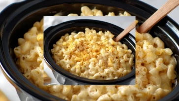 Macaroni Au Fromage Crémeux