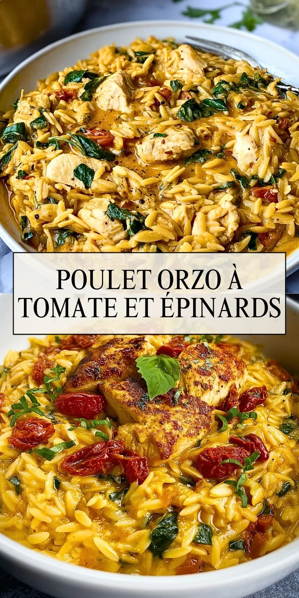 Poulet Orzo à Tomate et Épinards (2)