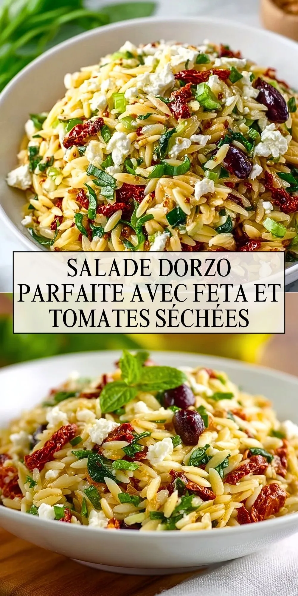 Salade DOrzo Parfaite Avec Feta Et Tomates Séchées (2)