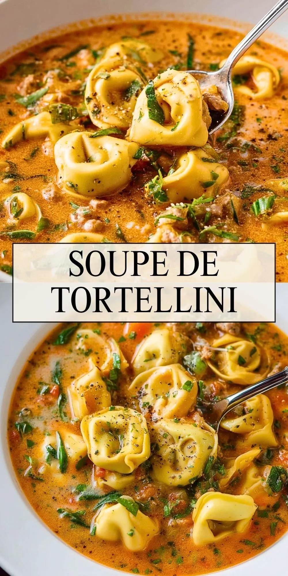 Soupe De Tortellini (2)
